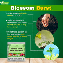 Load image into Gallery viewer, šø Blossom Burst Multiflora Seeds ā 50% OFF! šŗ