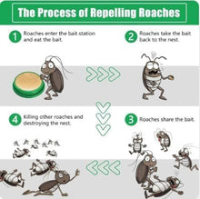 Load image into Gallery viewer, Roach Repellent Coackroach Killer Gel (Buy 12 Get 12 Free)š„š„