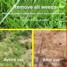 Load image into Gallery viewer, High Concentration Glufosinate Herbicide (Buy 1 Get 1 Free)