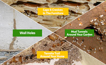 Load image into Gallery viewer, 🔥 Buy 1, Get 2 FREE🔥 Termite Killer Spray 🌟Triple Value Offer!🌟