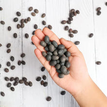 Load image into Gallery viewer, 🔥 Bonsai Lotus Flower Seeds BUY 1 GET 1 FREE (40+40 Seeds) 🔥+🔥FREE GIFT INSIDE WITH EVERY PURCHASE🔥
